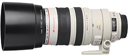 Canon 100-400mm f2.8 lens