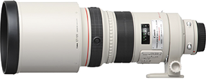 Canon 300mm f2.8 lens