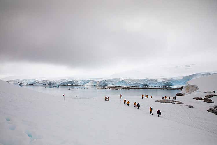 Tourists on Antarctic shoreline.
