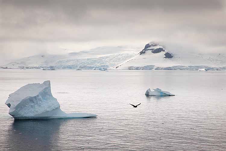 Antarctic peninsula scenery.