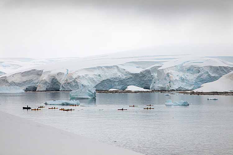 Tourists in kayaks on Antarctic Peninsula.