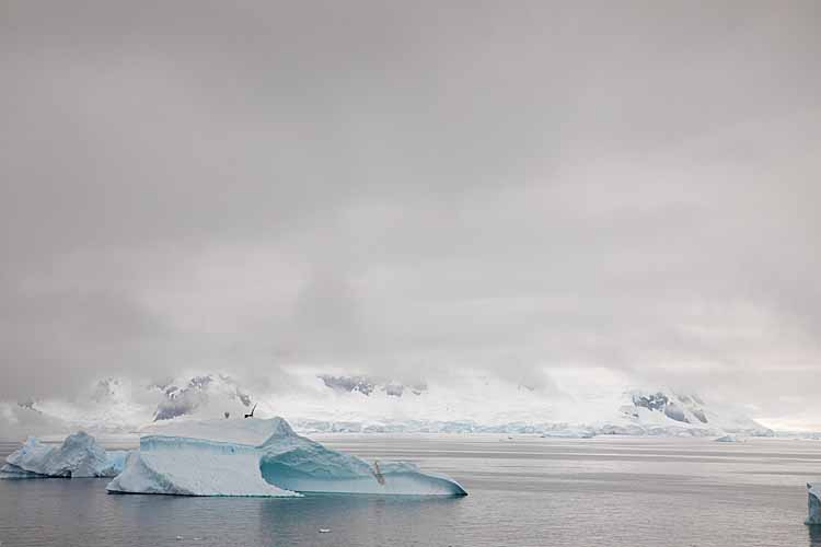 Antarctic peninsula.