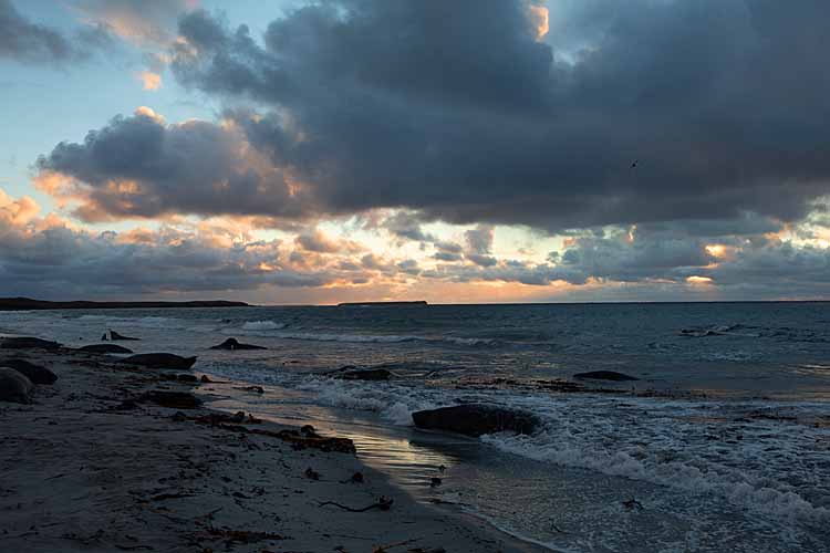 Sunset on South Georgia Island.