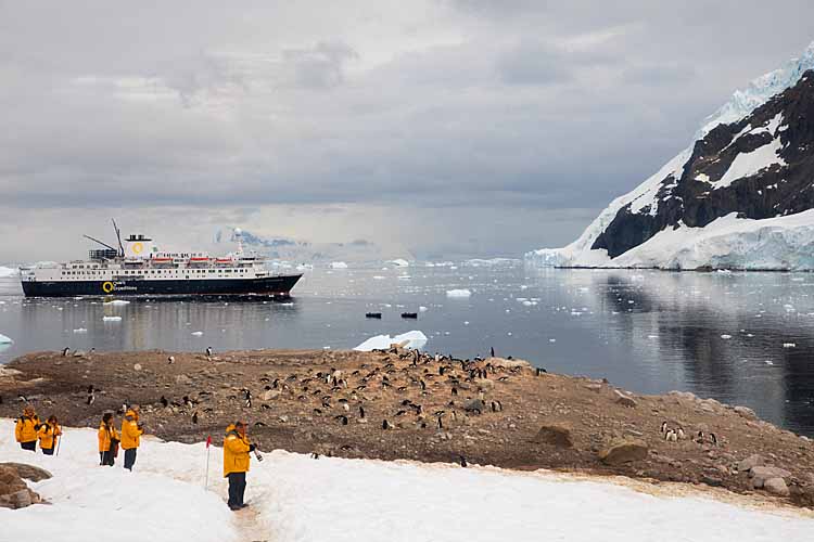 Tourists on shore photographing  Gentoo Penguin (Pygoscelis papua)