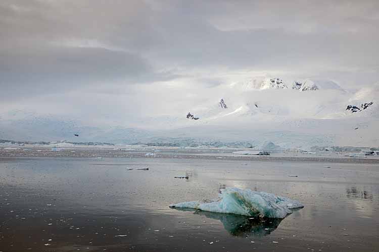 Shoreline on Antarctic Peninsula.