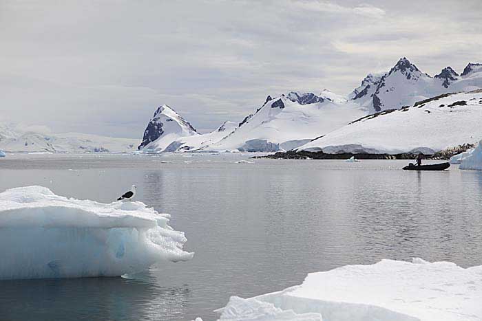 Antarctic Scene.