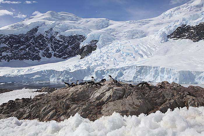 Antarctic Scene.