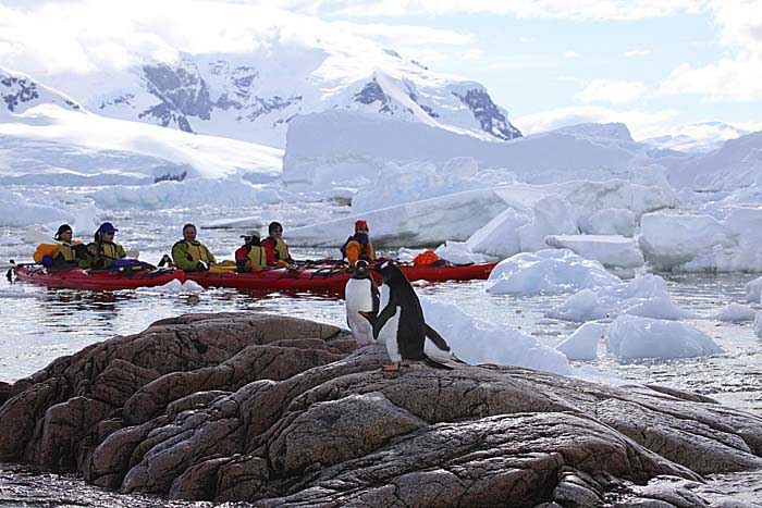 Antarctic Scene.