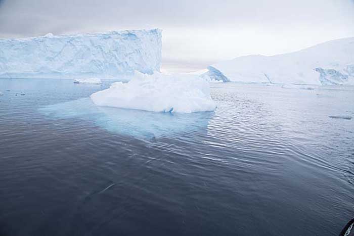 Antarctic Scene.