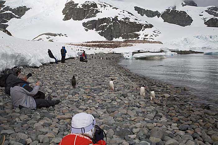 Antarctic Scene.