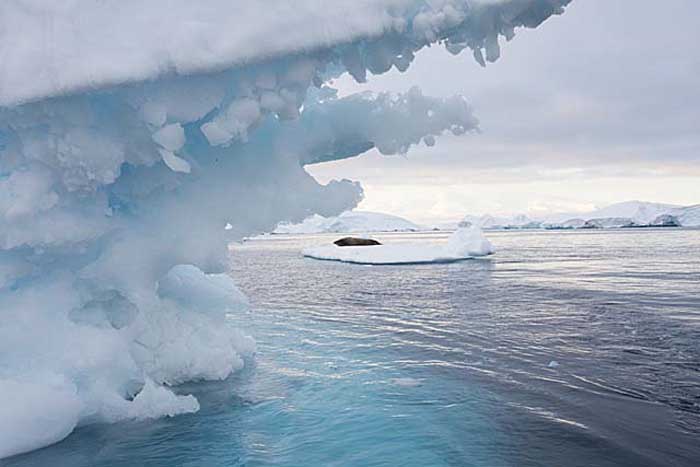 Antarctic Scene.