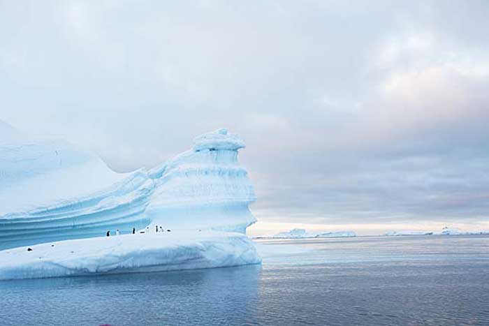 Antarctic Scene.