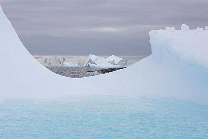 Antarctic Scene.