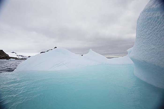 Antarctic Scene.