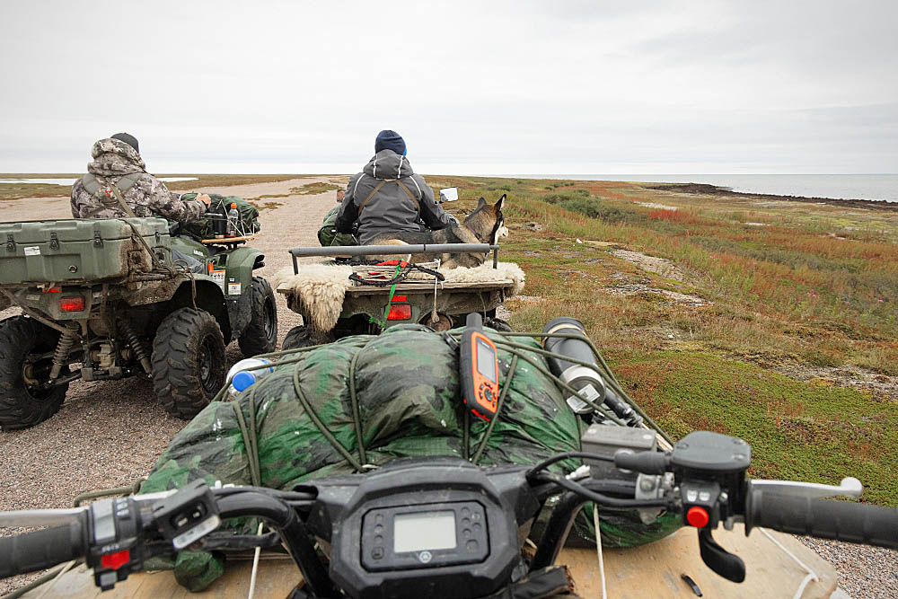 Quads or ATV's on the arctic tundra.