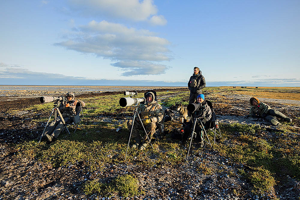 Photographers waiting for a Polar Bear (Ursus maritimus)