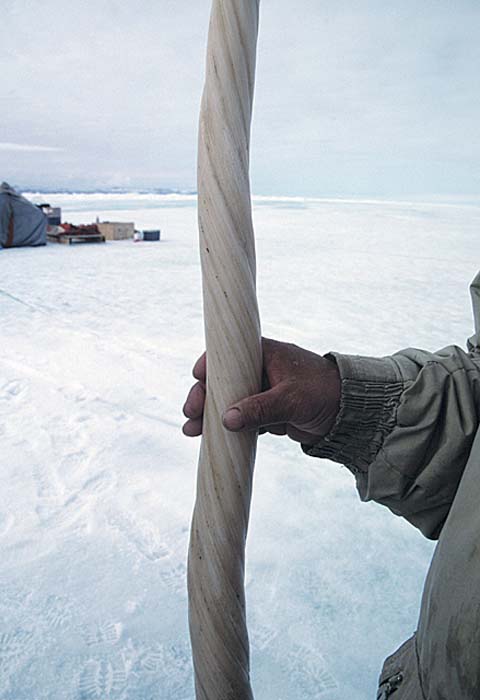 Inuit life in the Arctic.