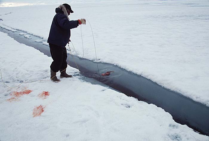 Inuit life in the Arctic.