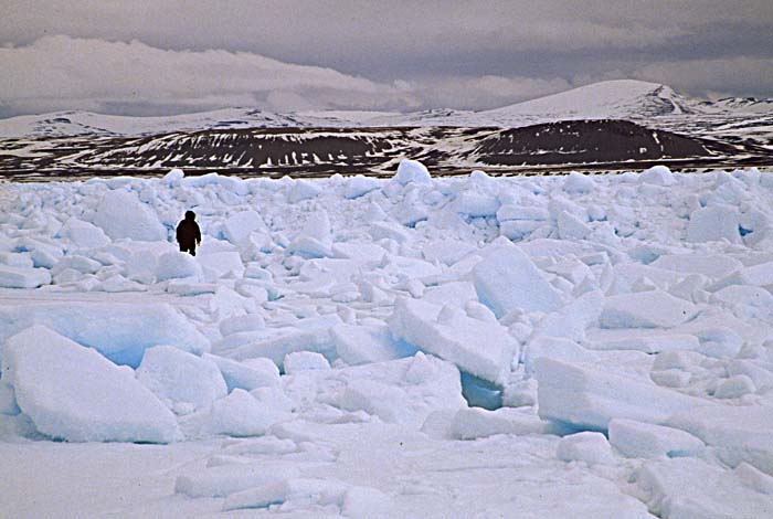 Inuit life in the Arctic.