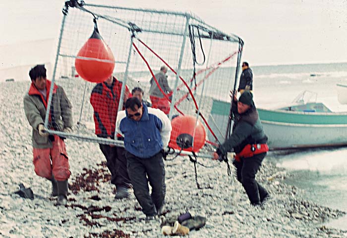 Inuit life in the Arctic.