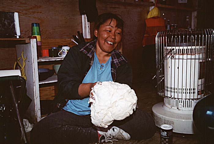 Inuit life in the Arctic.