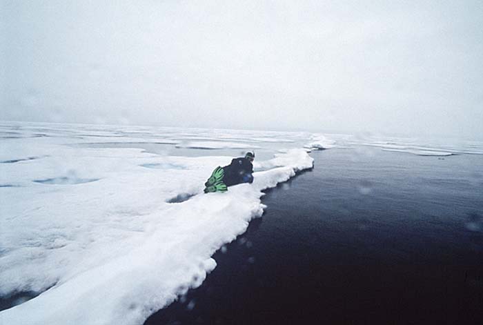 Arctic scenics. Nunavut to Norway.