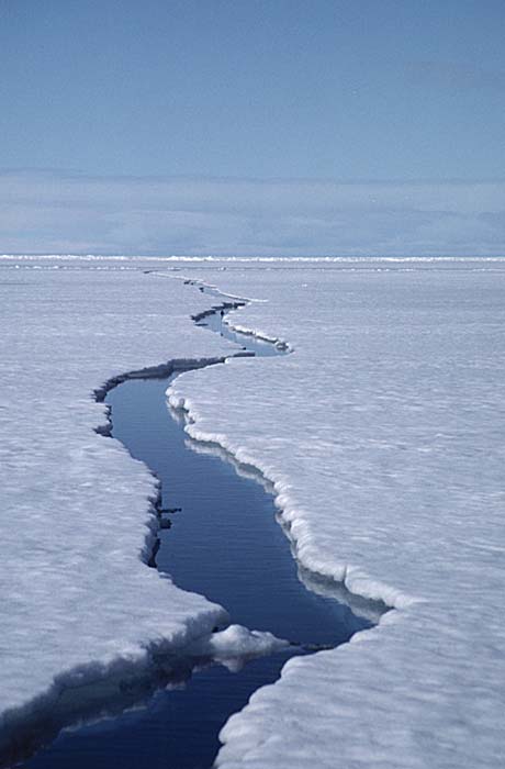 Arctic scenics. Nunavut to Norway.