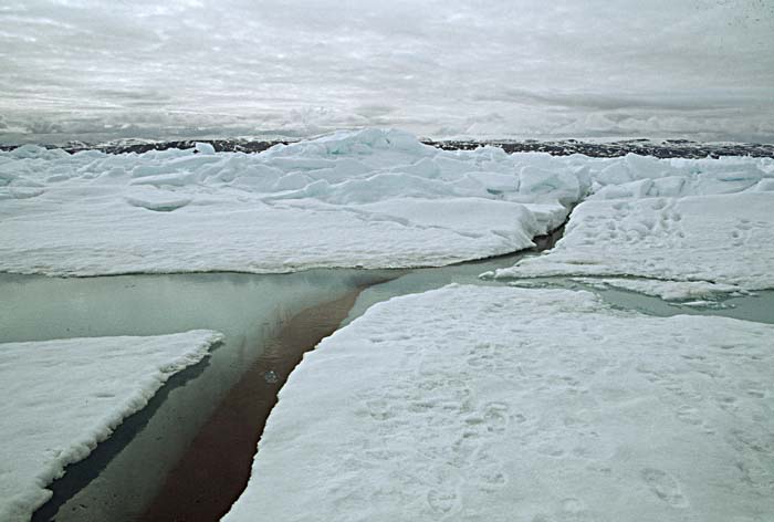 Arctic scenics. Nunavut to Norway.