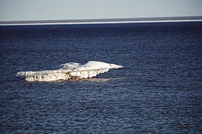 Arctic scenics. Nunavut to Norway.