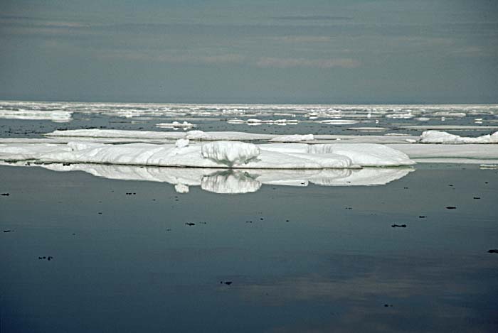 Arctic scenics. Nunavut to Norway.