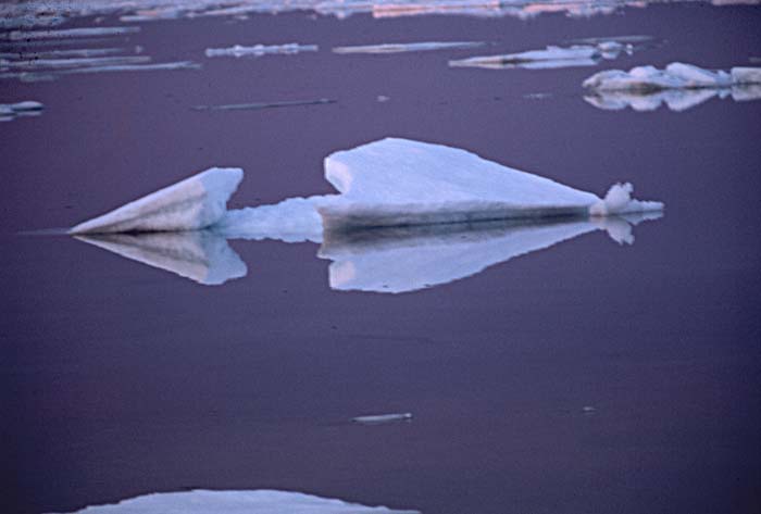 Arctic scenics. Nunavut to Norway.