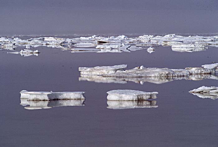 Arctic scenics. Nunavut to Norway.