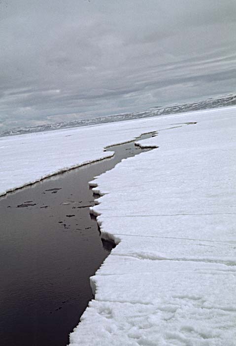 Arctic scenics. Nunavut to Norway.