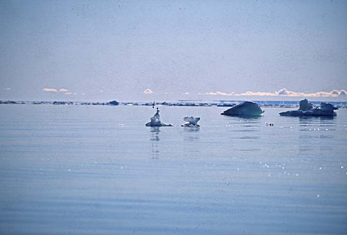 Arctic scenics. Nunavut to Norway.