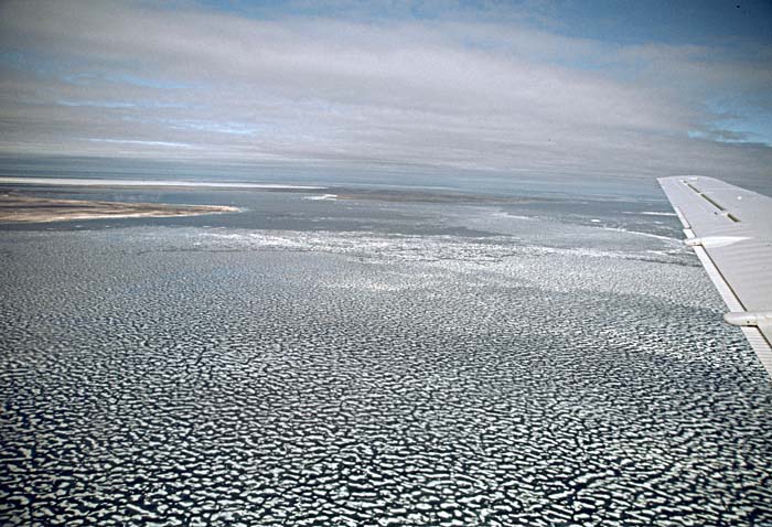 Arctic scenics. Nunavut to Norway.