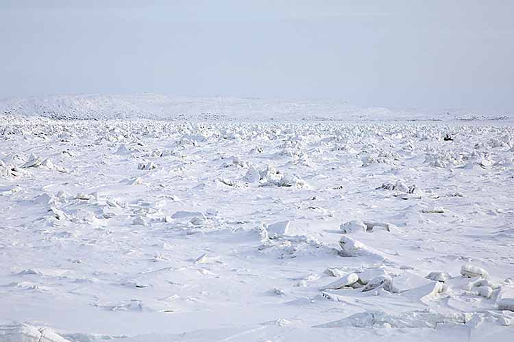 Sea ice with tidal heaves.