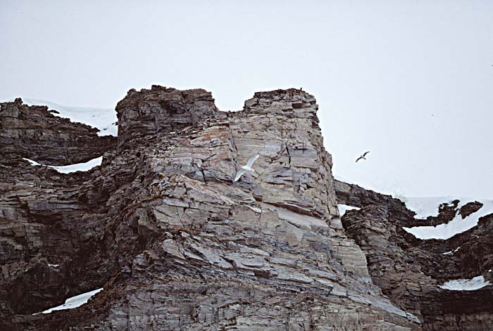 Arctic scenics. Nunavut to Norway.