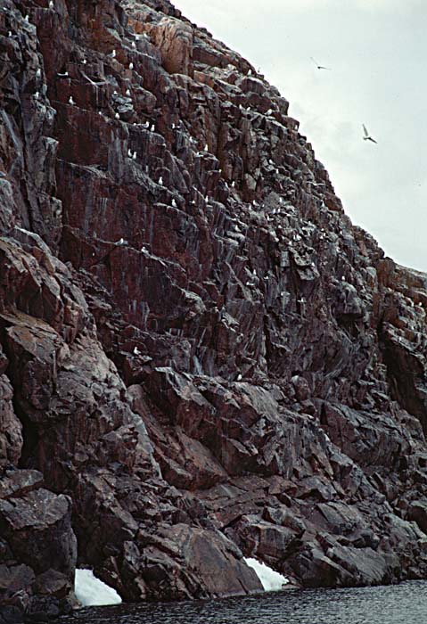 Arctic scenics. Nunavut to Norway.