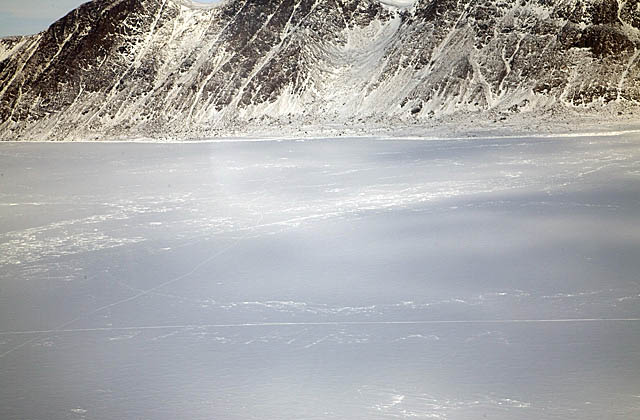 Sea ice and snow covered seaside cliffs.