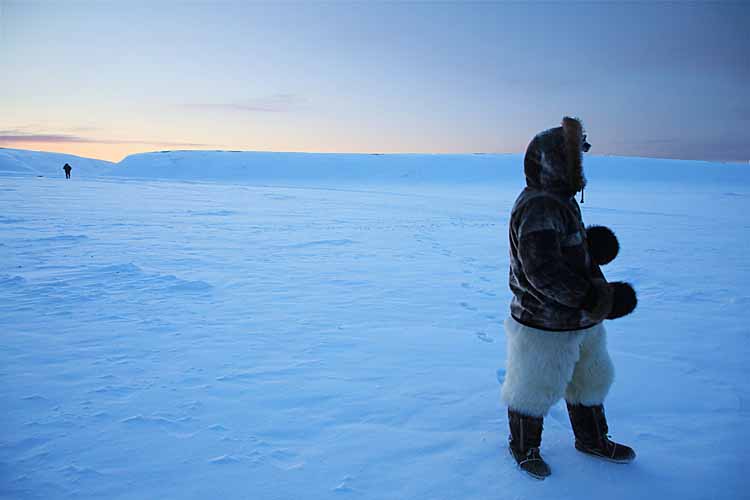 Inuit guide in Arctic.