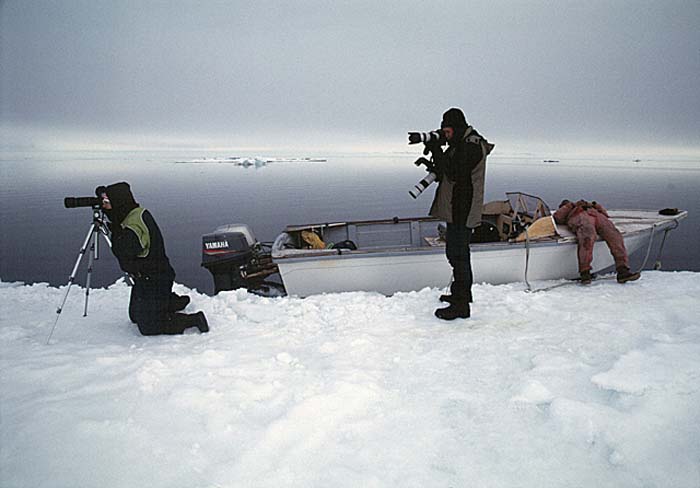 Arctic scenics. Nunavut to Norway.