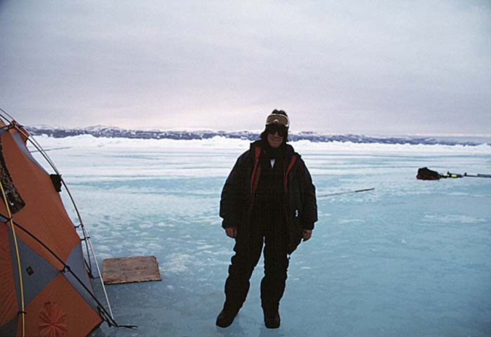 Arctic scenics. Nunavut to Norway.