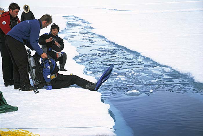 Arctic scenics. Nunavut to Norway.