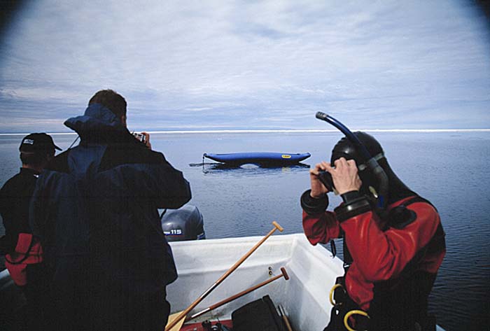 Arctic scenics. Nunavut to Norway.