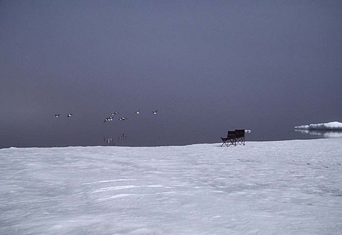 Arctic scenics. Nunavut to Norway.