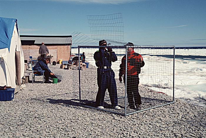 Arctic scenics. Nunavut to Norway.