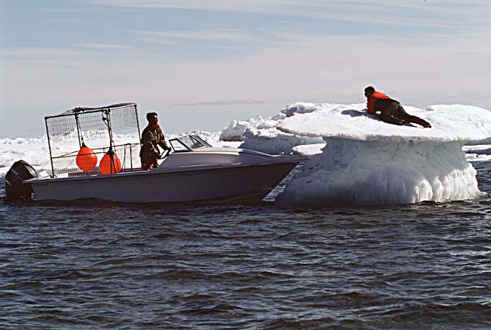 Arctic scenics. Nunavut to Norway.