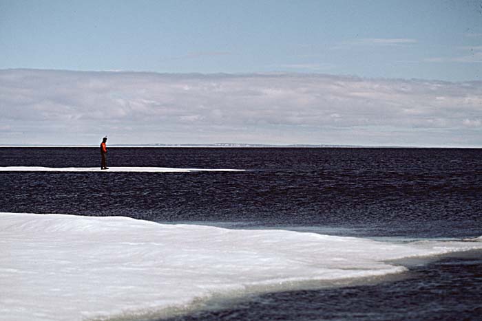 Arctic scenics. Nunavut to Norway.