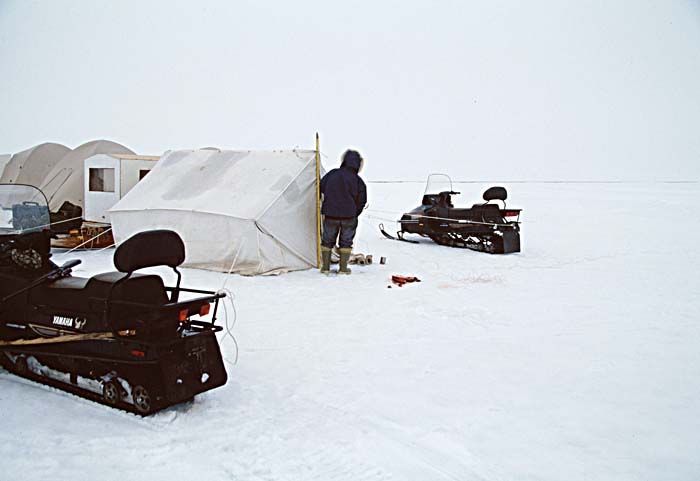 Arctic scenics. Nunavut to Norway.