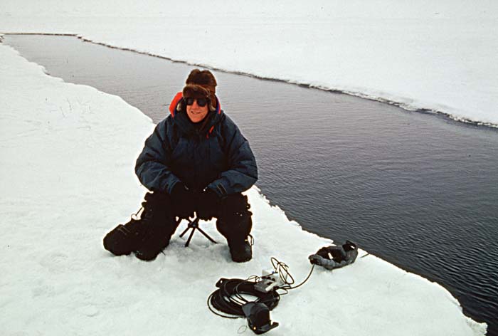 Arctic scenics. Nunavut to Norway.